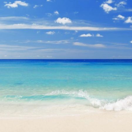 "The Sunset Shack" Best Location With Ocean View, Short Walk To Beach, Perfect Spot For A Getaway! Destin Bagian luar foto